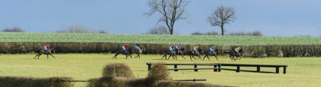 Horses on the back straight at Garthorpe