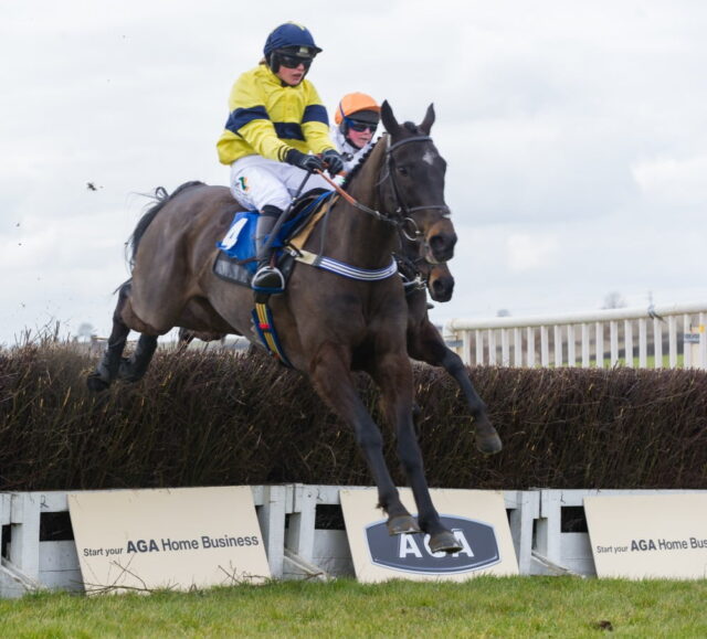 Emergency Cover (Gina Andrews)