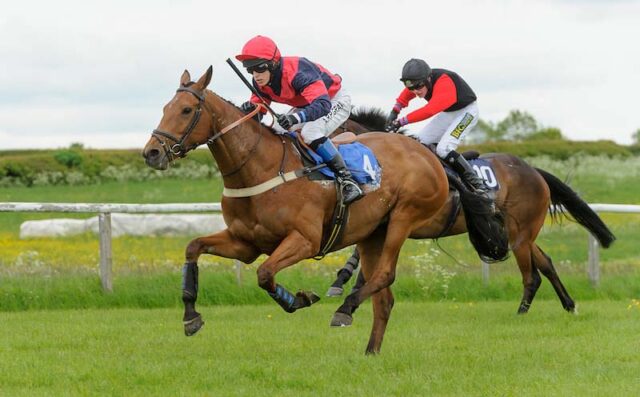 Tom Broughton riding JAY KAYDEE to victory at Garthorpe