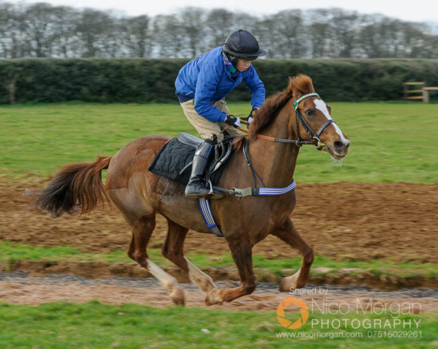 Pony Racing Rally at North Lodge Racing