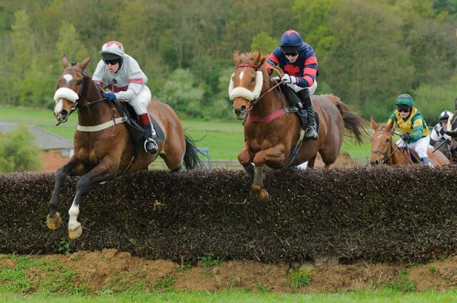 Point-to-Point racing at Dingley