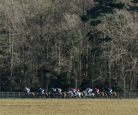 Point-to-Point racing at Brocklesby