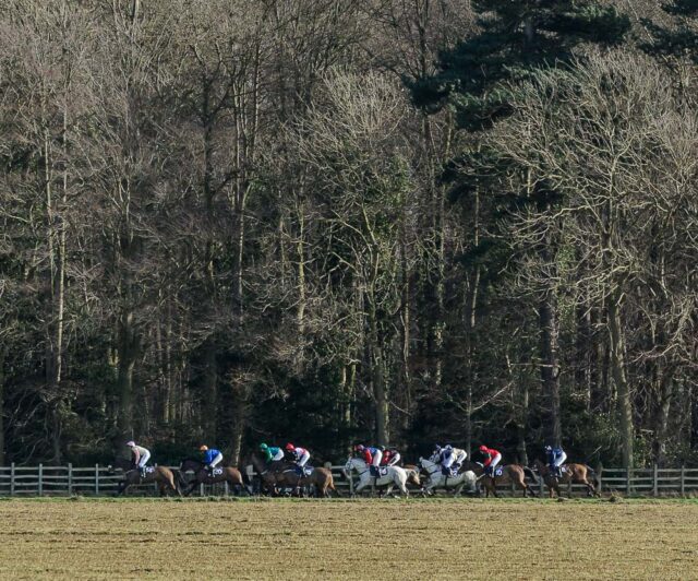Point-to-Point racing at Brocklesby