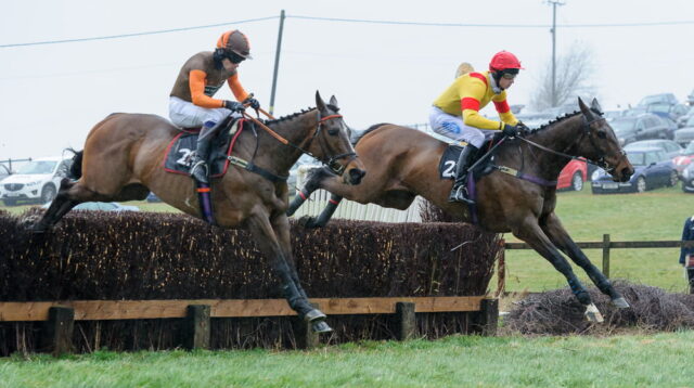 Sam Waley-Cohen (Warne) and Tom Strawson (Somethingwonderful)