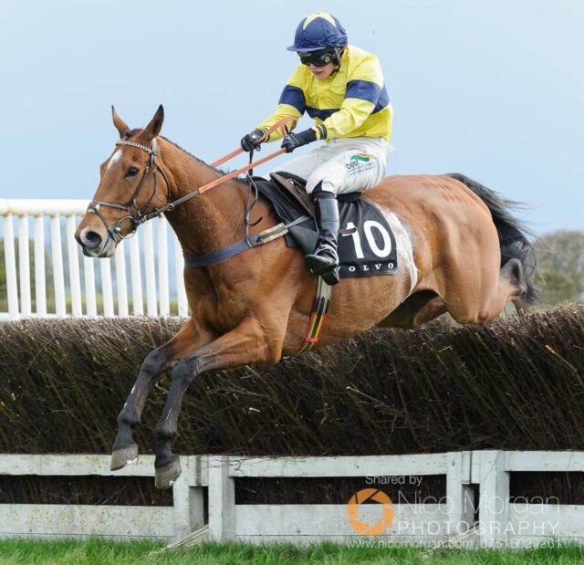 Gina Andrews and QUICK OATS