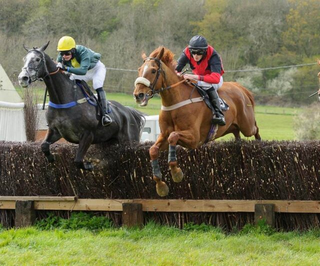 ICTHEC (Harry Thorpe-Codman) and MY DAD'S HORSE (Rory Bevin)