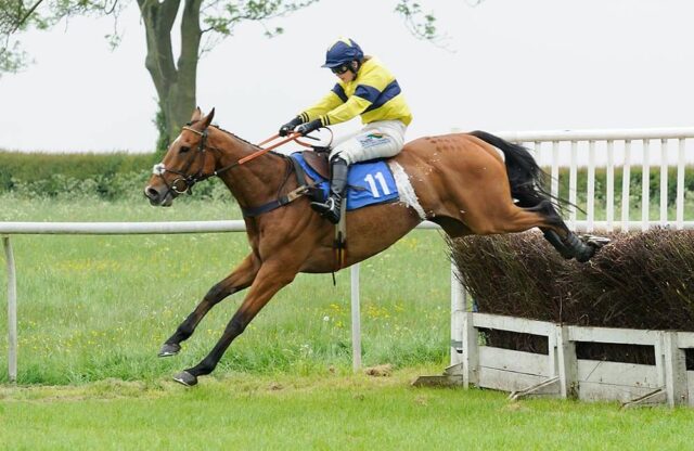 Gina Andrews and QUICK OATS