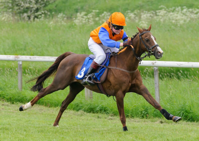 Ninfield Millionaire's Delight - Tara Stockwell