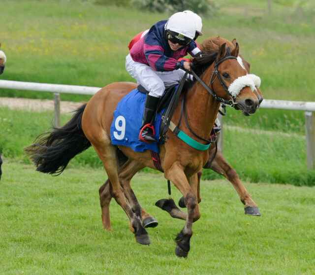 Willow the Wisp - Boris Ball