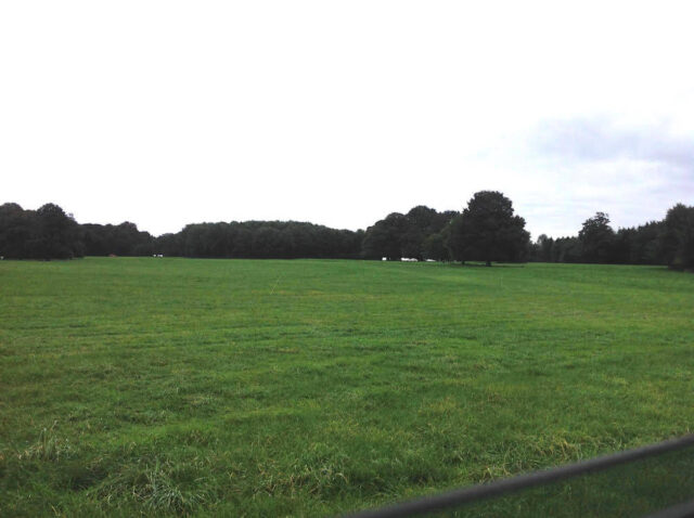 Turn-into-Final-Straight