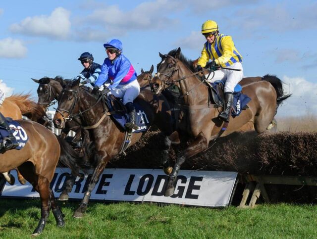 The Midlands Area Club Point-to-Point at Thorpe Lodge