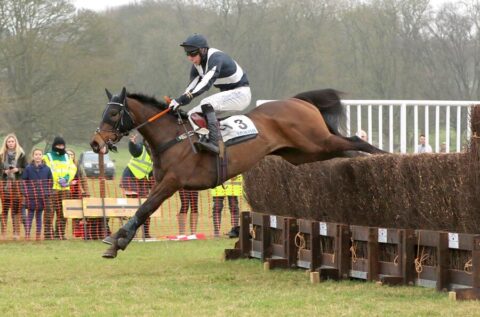 REVESBY-RACES-POINT-TO-POINT-MARCH-2017-816