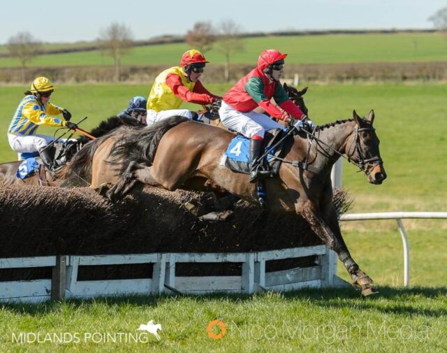 LOVE MANHATTAN (Tom Chatfeild-Roberts)