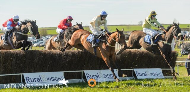 HAZEL HILL (Alex Edwards)