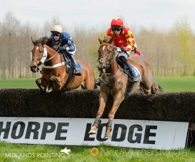 Wither Or Not (Dale Peters)