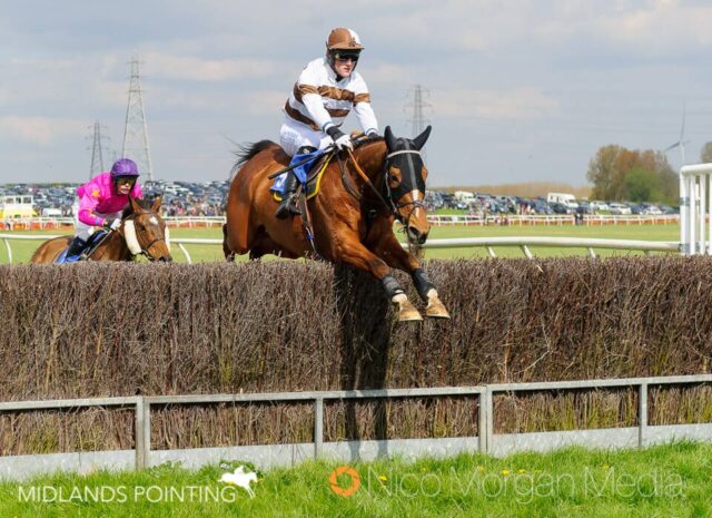 Poyntzpass (Evan David)