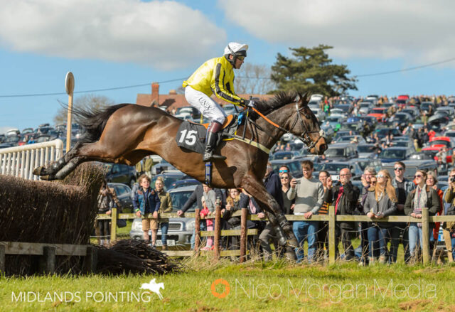 Silvergrove (Tim Gredley)