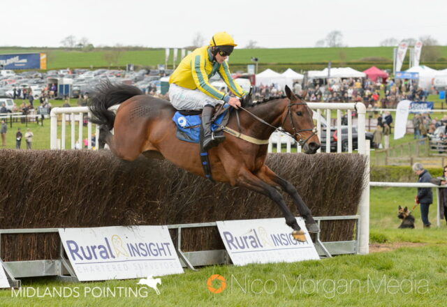 THETALKINGHORSE (Sam Davies-Thomas) - Garthorpe