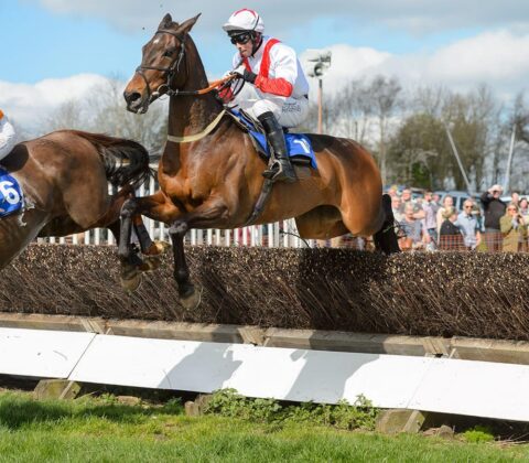 Temple Grandin (Alex Edwards)