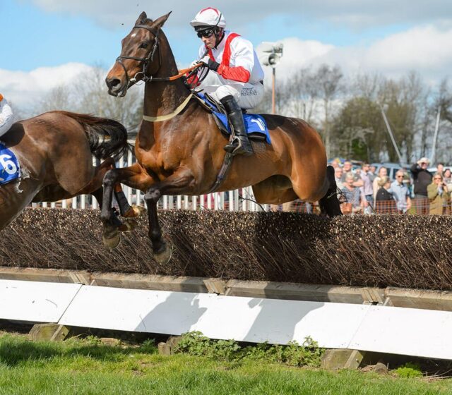 Temple Grandin (Alex Edwards)