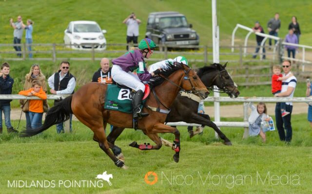 Gulliver – Benoit de la Sayette wins the first - Pony Racing