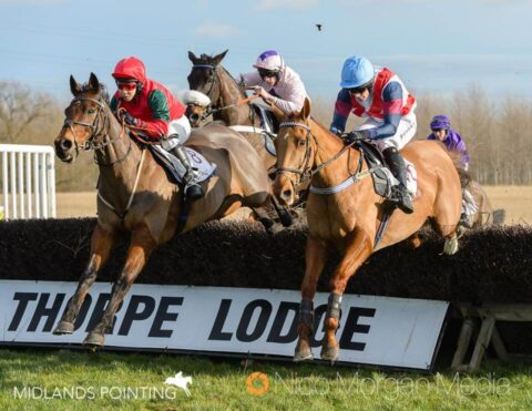 Meisha Micklewright and L'Eldorado (left)