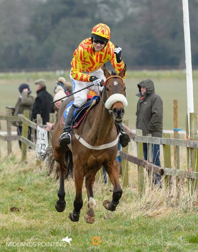 Duhallow Tornado (Tom Strawson) - Brocklesby