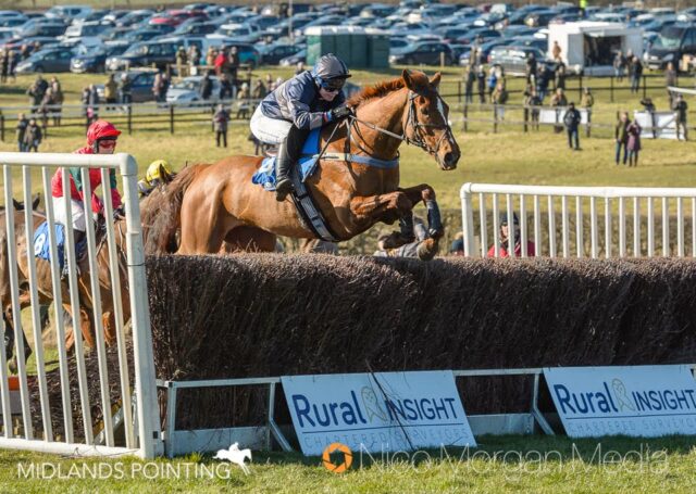 Golden Tobouggan (Claire Hardwick) - Garthorpe