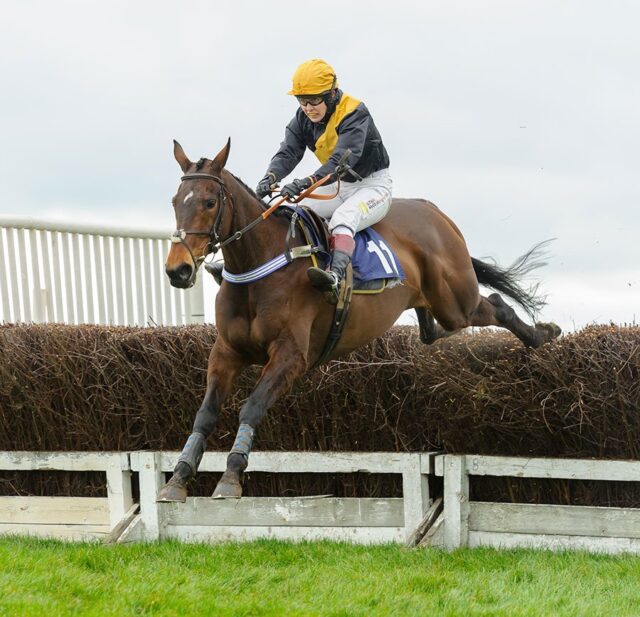 POPAWAY (Immy Robinson) - Garthorpe