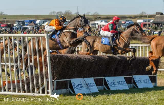 L'ELDORADO (Meisha Micklewright)