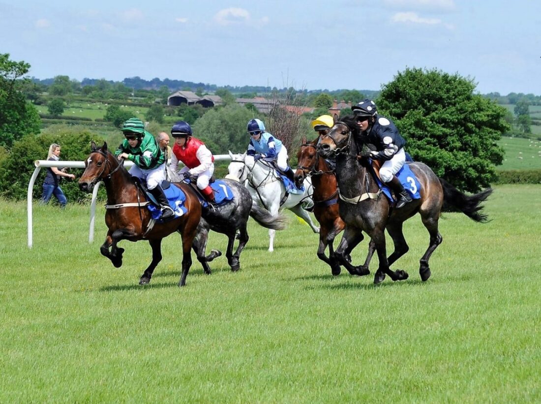 Meynell & South Staffs Point to Point