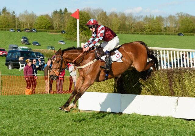 Tristan Durrell and KASHMIR PEAK win at Guilsborough