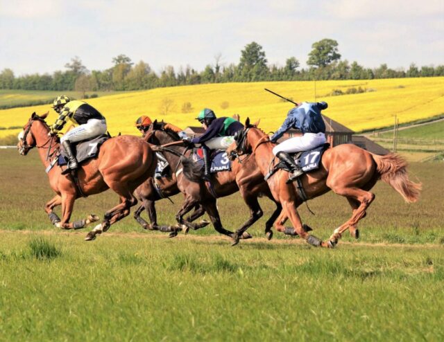 The Fernie Hunt Point to Point - Dingley