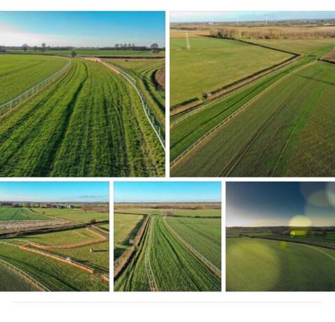 Thorpe Lodge from the air