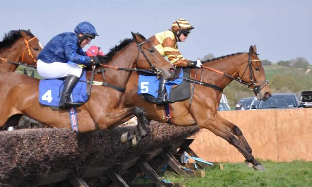 King-Of-The-Clothe-(Gina-Andrews)