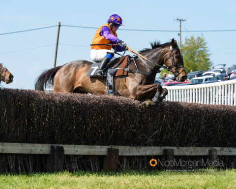 THE GEEGEEZ GEEGEE (Claire Angus)