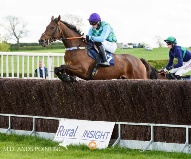 LAW OF GOLD (Dale Peters)