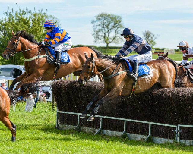 Will Thirlby and Midnight King in the Mixed Open