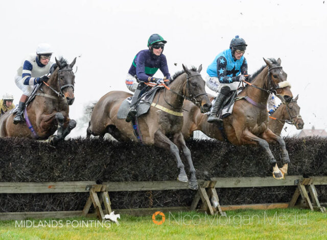 Minella Wizard (Jack Andrews)