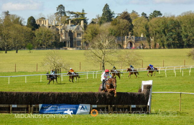 Benefaktor (Jack Andrews) winning the Intermediate at Revesby