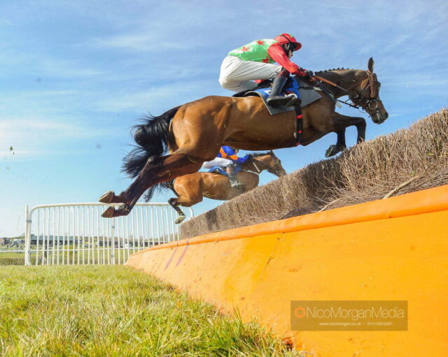 BINGO STAR and Jack Andrews