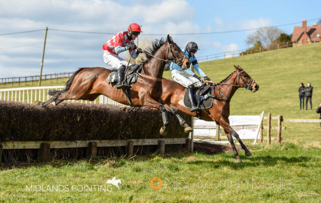 Always Lion (James King) and Fumet D'Oudairies (Jack Andrews)