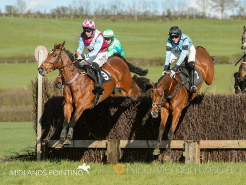 pytchley point-to-point at dingley