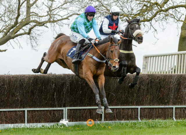 Law of Gold winning at Garthorpe