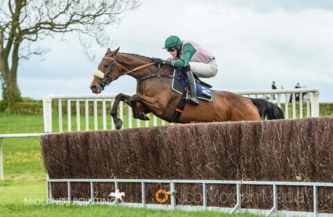 Al Shahir (Jack Andrews)