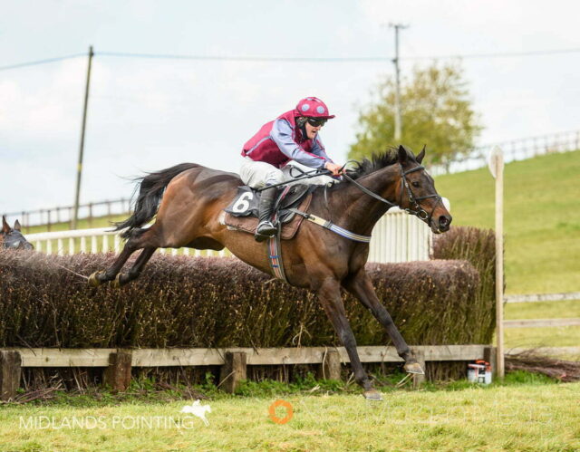 Billy Chatterton and MINELLA FRIEND win the Fernie Four-Miler