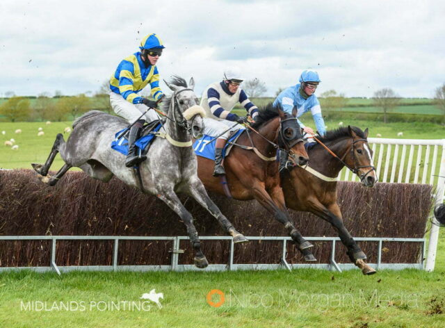 JJames King and KAPROYALE