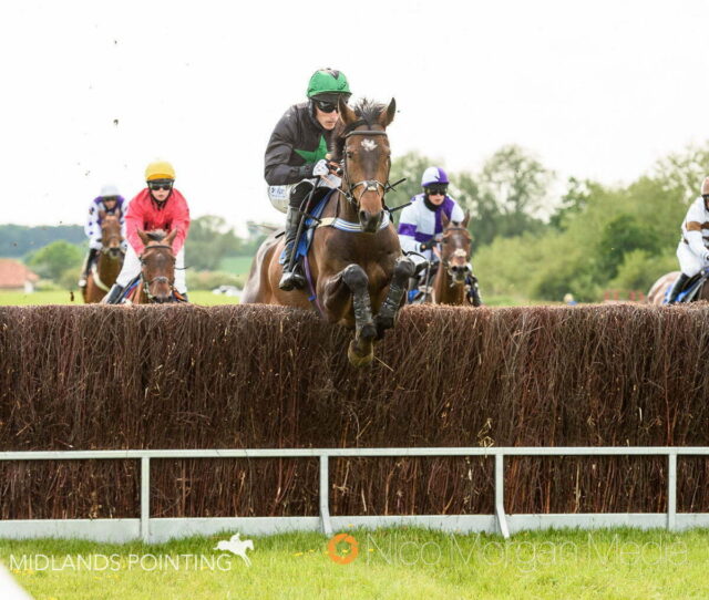 CARYTO DES BROSSES (Dale Peters)