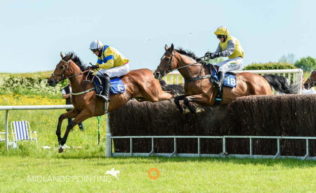 point-to-point racing at Garthorpe