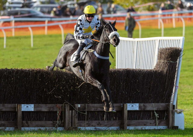 Cousin Pascal (James King)